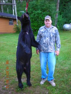 Bear Hunt August 2011