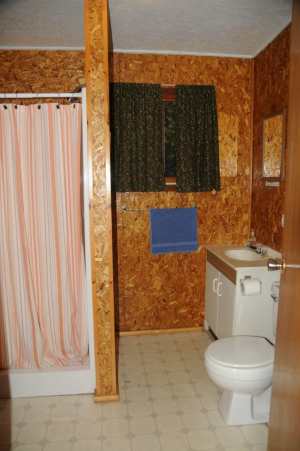 Moose cabin bathroom